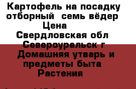 Картофель на посадку, отборный (семь вёдер) › Цена ­ 50 - Свердловская обл., Североуральск г. Домашняя утварь и предметы быта » Растения   